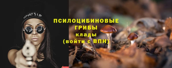 экстази Белокуриха